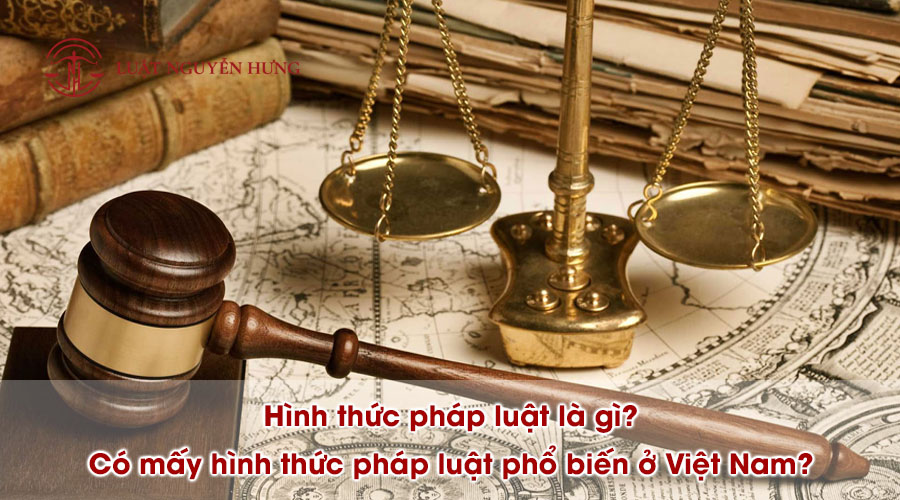 Hình thức pháp luật là gì? Có mấy hình thức pháp luật phổ biến ở Việt Nam?