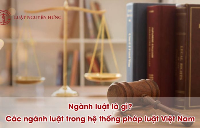 11Ngành luật là gì? Các ngành luật trong hệ thống pháp luật Việt Nam