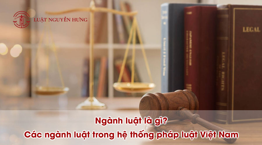 Ngành luật là gì? Các ngành luật trong hệ thống pháp luật Việt Nam