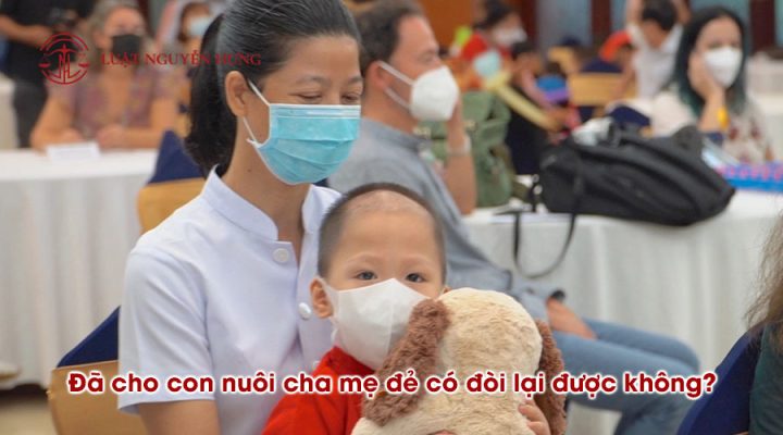 Đã cho con nuôi cha mẹ đẻ có đòi lại được không?