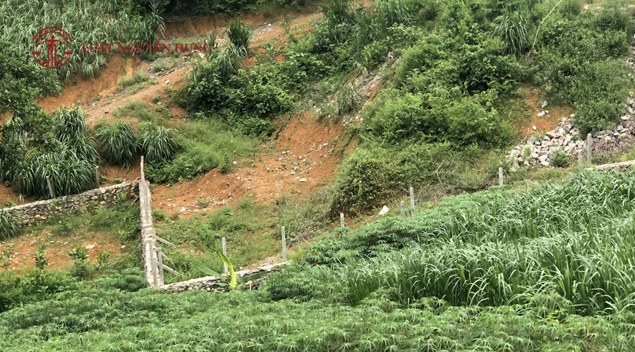 Đất nông nghiệp tự khai hoang